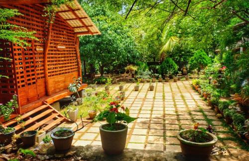 Dambulla Bed & Breakfast | Unforgettable Stay at Golden Rainbow Guest House