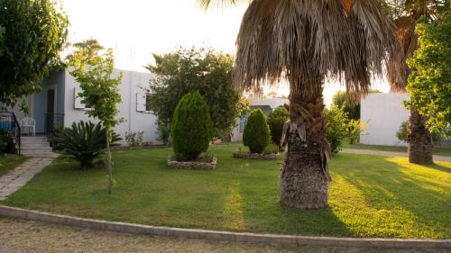 Zacharo House | Pet-Friendly Retreat at Goldener Strand with 9.2/10 Rating