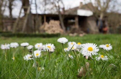 Neuburg Apartment | Goldhammer: Family-Friendly Stay with Top 10/10 Reviews
