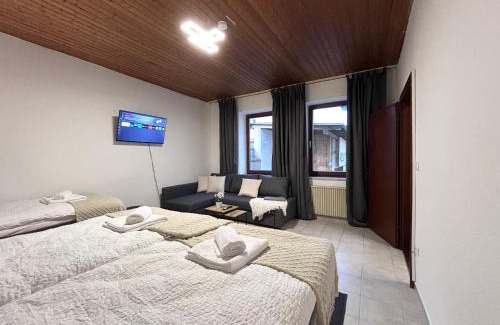 Straubing Apartment | Goltan Apartment - Küche - WLAN - Parkplatz