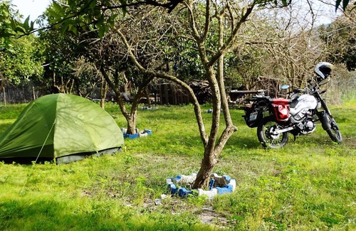 Adrasan Other | Outstanding Gonca Camping-Adrasan: Pet & Child Friendly!