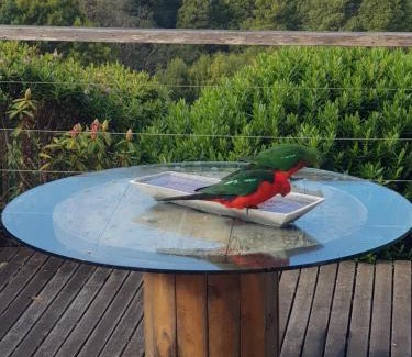 Lavers Hill House | Surf Retreat: Family & Pet-Friendly Stays Await You