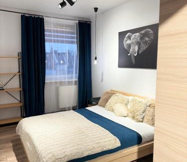 Jezyce Apartment | Cozy Good Time Apartments: Pet & Child Friendly Stay