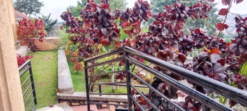 Kampala House | Exceptional Good Times Hotel: Family-Friendly with Kitchen