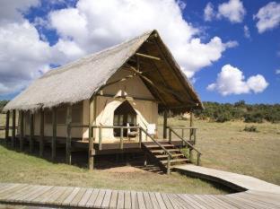 Addo Other | Gorah Elephant Camp: 5-Star Oasis with Oceanfront Views