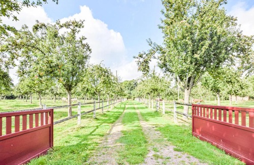 Saint-Pierre-de-Cormeilles House | Inviting Home in Cormeilles with Kitchen and Pet-Friendly Perks