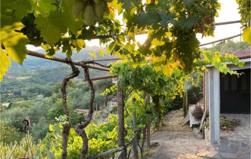 Olevano Romano House | Ideal Home in Olevano Romano: Pet & Child Friendly Stay