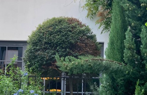 Cascina dei Pomi House | Stylish Townhouse in the Vibrant NoLo Neighborhood