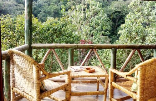 Bwindi Bed & Breakfast | Eco-Friendly Gorilla Hills Lodge with Family and Pet Amenities