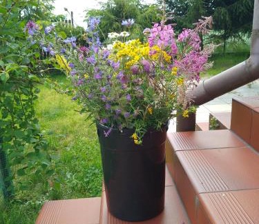 gmina Filipow House | Pet-Friendly Retreat at Gospodarstwo Agroturystyczne Wólka 34