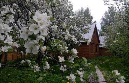 Prislon House | Pet-Friendly Gostevoi dom na Volge with Hot Tub & Breakfast