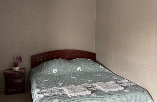 Vladivostok Hotel | Budget-Friendly Stay at Gostiny Dvor with Hot Tub Access