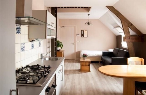 Polsbroek Other | Enchanting Gouda / Utrecht Farmhouse with Oceanfront Pool
