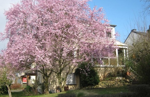 Treis-Karden Apartment | Cozy Gräf Rosemarie: Family-Friendly 2-Bed Apartment