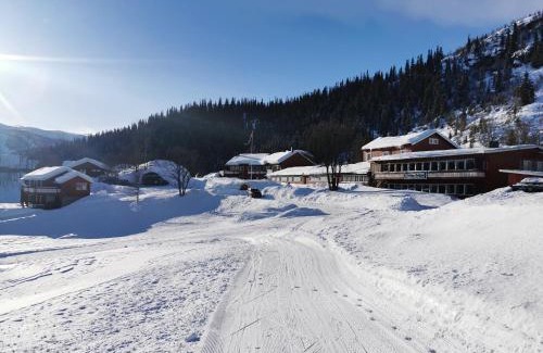 Oystre Slidre Hotel | Relax at Grønolen Fjellgard: Spa, Pool & Pet-Friendly Stays