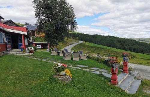 Oystre Slidre Hotel | Relax at Grønolen Fjellgard: Spa, Pool & Pet-Friendly Stays