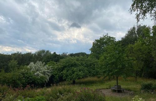 Roesrath House | Peaceful Retreat near Cologne: Family and Pet-Friendly Stay