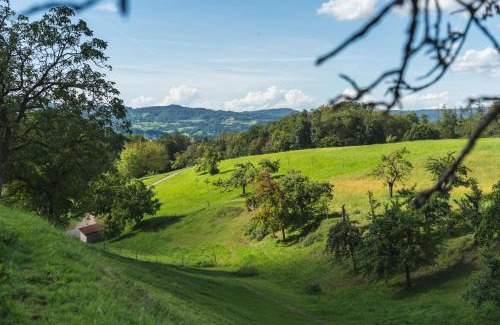 Rimbach Apartment | Discover Grünewaldhof: Family-Friendly Retreat in Odenwald
