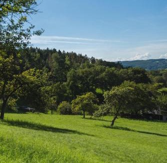 Rimbach Apartment | Discover Grünewaldhof: Family-Friendly Retreat in Odenwald