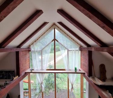 Pluzine Apartment | Pet & Child Friendly Getaway at Grab Cabin - Rated 10/10