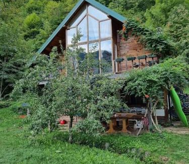 Pluzine Apartment | Pet & Child Friendly Getaway at Grab Cabin - Rated 10/10