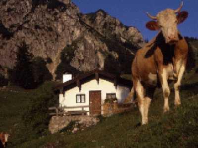 Schleching House | Experience Grafn-Hof: Family-Friendly with Oceanfront Views