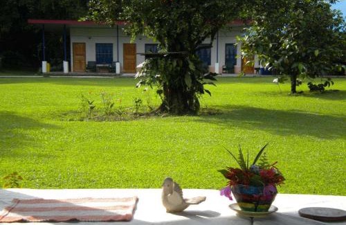 Puerto Viejo de Sarapiqui Cabin | Enjoy Family-Friendly Stays at Gran Gavilán del Sarapiquí