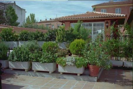 Colmenar Viejo House | Cozy Gran Hostal El Chiscón: Pet-Friendly & Family Approved