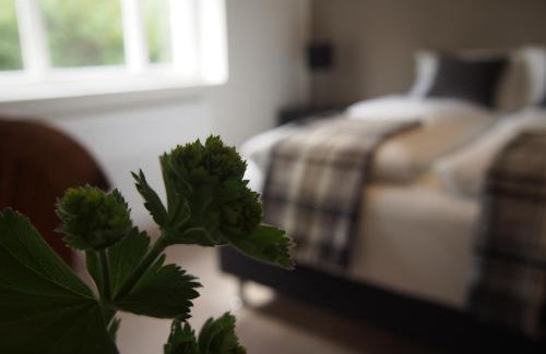 Husavik House | Exceptional Stay at Granastaðir Guesthouse with Family Amenities