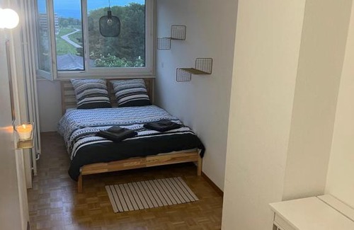 Thonex Apartment | Grand Appartement: Family and Pet Friendly Getaway