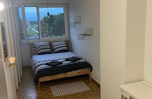 Thonex Apartment | Grand Appartement: Family and Pet Friendly Getaway