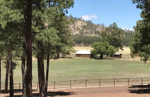 Parks House | Pet-Friendly Grand Canyon Loft with Unique Activities & High Ratings