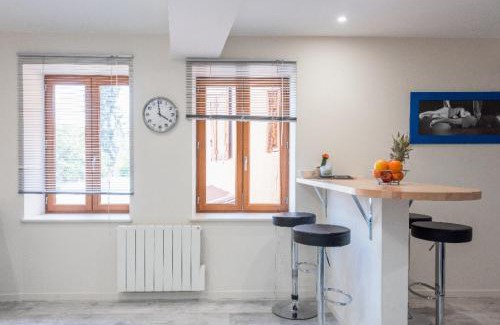 Villefranche-sur-Saone Apartment | Tranquil Grand Duplex in City Center with Family Amenities