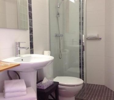 Saint-Jean-de-Luz City Center Hotel | Grand Hôtel de la Poste: Pet-Friendly Oasis with Pool