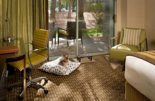 Gainey Ranch Resort | Relax at Hyatt Regency Scottsdale Resort and Spa