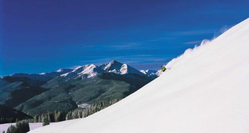 Vail Resort | Elegant Grand Hyatt Vail: Pet-Friendly with Spa & Pool