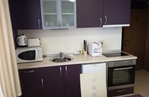 Pamporovo Apartment | Pet-Friendly Grand Monastery Apartment with Top Guest Ratings