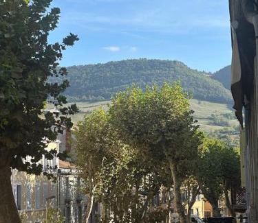 Millau Apartment | Grand studio refait à neuf