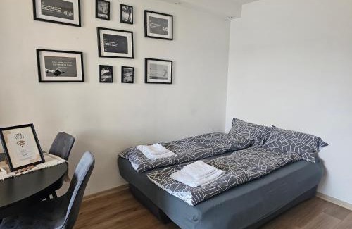 Tirgu Mures Apartment | Exceptional Grand Urban Studio: Pet and Child Friendly Stay