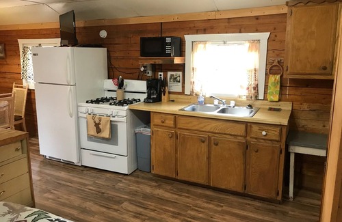 South Fork Cabin | Grandview Cabins & RV Resort: Pet-Friendly Retreat with Spa