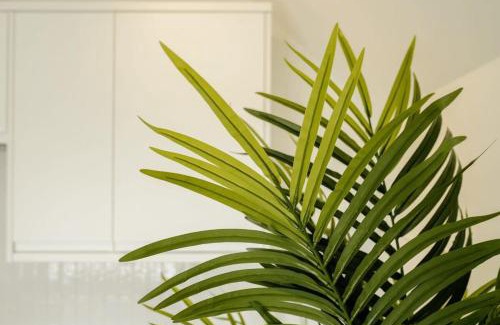 Clifton Apartment | Modern One-Bedroom Retreat at Grange Rd Flat 5