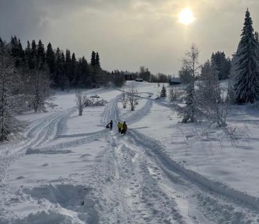 Duved Villa | Discover Granlunda Fjällgård: Family-Friendly Retreat