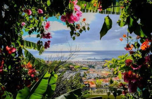 Imaculado Coracao de Maria House | Inviting Granny's House View: Family-Friendly Escape