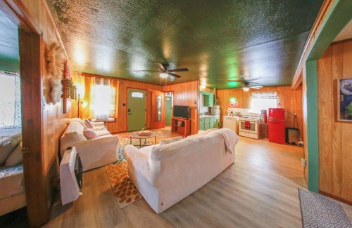 Paris House | Granny’s House-A Groovy Getaway with Poker Shed! Walk to Walker Disc Golf Park!