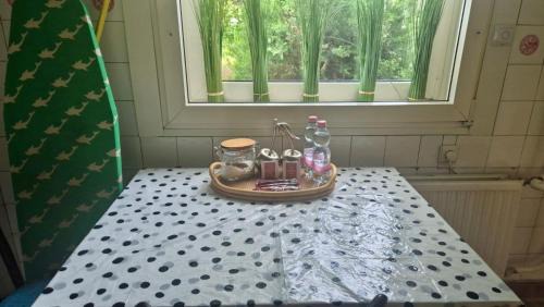 Vecses Apartment | Discover Grany's Retro Guesthouse Near Budapest Airport