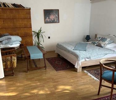 Vecses Apartment | Discover Grany's Retro Guesthouse Near Budapest Airport