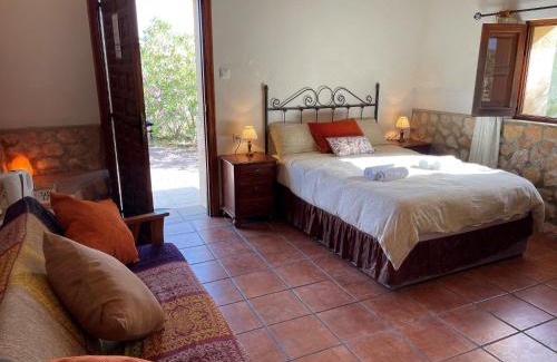 Canada de Don Ciro House | Grapevine Manor