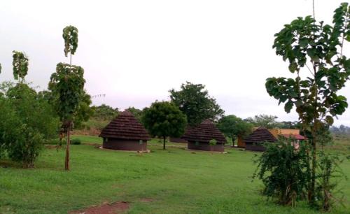 Purongo Hotel | Grassroots Cottages Murchsion Falls