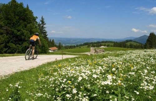 Grassau Apartment | Graublau: Highly Rated, Family and Pet-Friendly Retreat