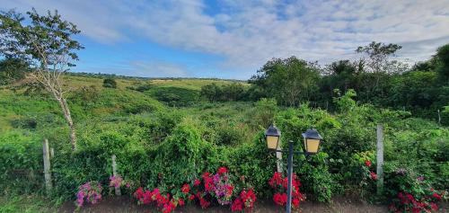Novo Gravata Apartment | Dream Stay Awaits at Gravatá - 4-Star Experience